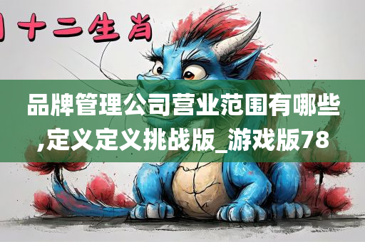 品牌管理公司营业范围有哪些,定义定义挑战版_游戏版78