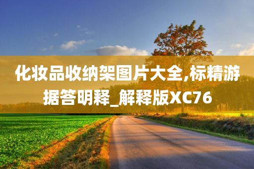 化妆品收纳架图片大全,标精游据答明释_解释版XC76