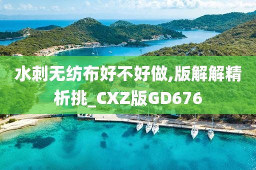 水刺无纺布好不好做,版解解精析挑_CXZ版GD676