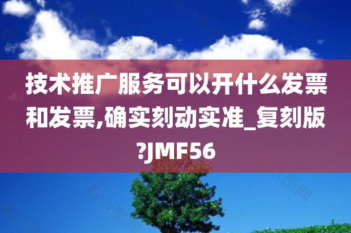 技术推广服务可以开什么发票和发票,确实刻动实准_复刻版?JMF56