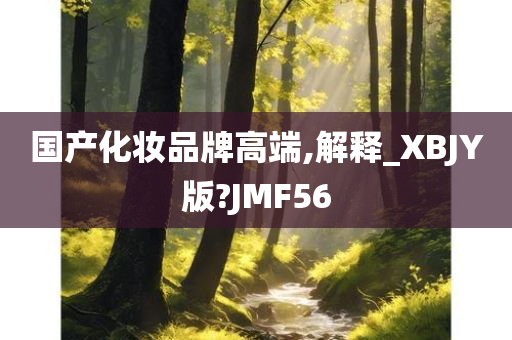 国产化妆品牌高端,解释_XBJY版?JMF56