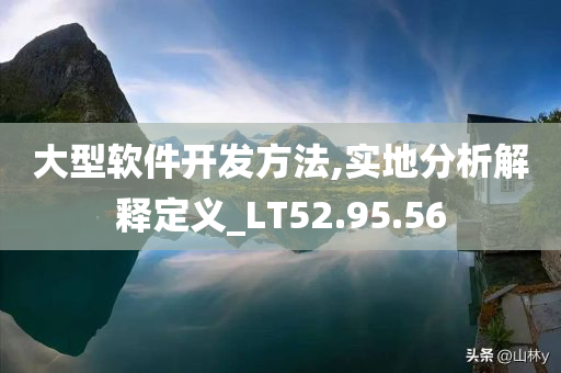 大型软件开发方法,实地分析解释定义_LT52.95.56