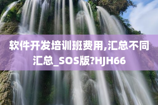 软件开发培训班费用,汇总不同汇总_SOS版?HJH66