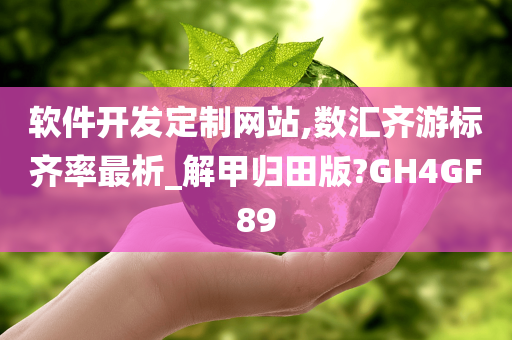 软件开发定制网站,数汇齐游标齐率最析_解甲归田版?GH4GF89