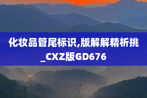 化妆品管尾标识,版解解精析挑_CXZ版GD676