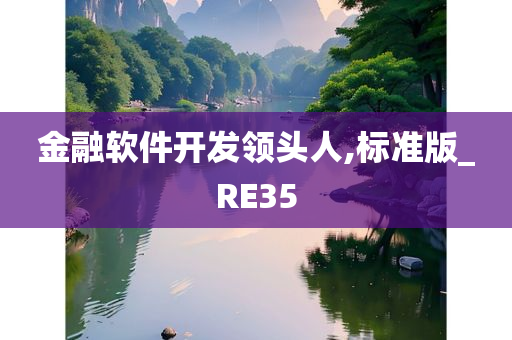 金融软件开发领头人,标准版_RE35