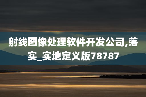 射线图像处理软件开发公司,落实_实地定义版78787