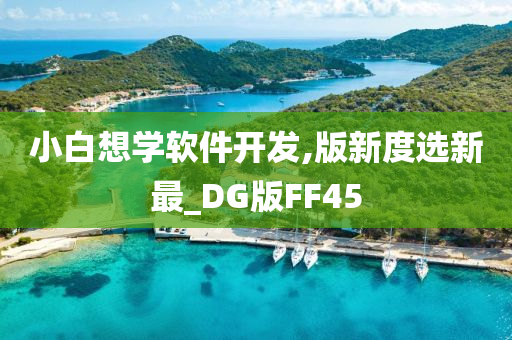 小白想学软件开发,版新度选新最_DG版FF45