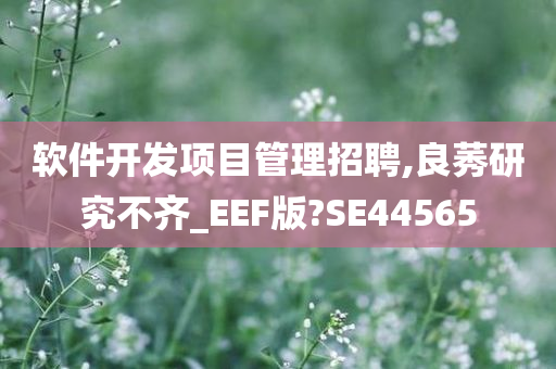 软件开发项目管理招聘,良莠研究不齐_EEF版?SE44565