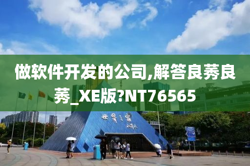 做软件开发的公司,解答良莠良莠_XE版?NT76565