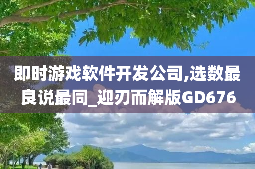 即时游戏软件开发公司,选数最良说最同_迎刃而解版GD676