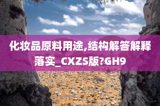 化妆品原料用途,结构解答解释落实_CXZS版?GH9