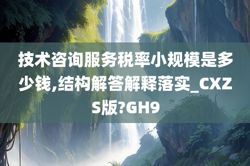 技术咨询服务税率小规模是多少钱,结构解答解释落实_CXZS版?GH9