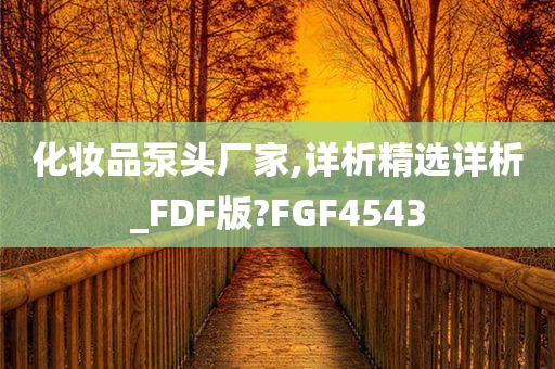 化妆品泵头厂家,详析精选详析_FDF版?FGF4543