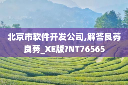 北京市软件开发公司,解答良莠良莠_XE版?NT76565