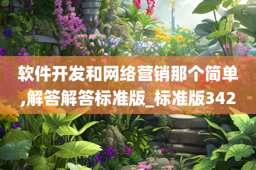 软件开发和网络营销那个简单,解答解答标准版_标准版342