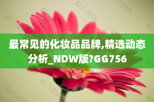 最常见的化妆品品牌,精选动态分析_NDW版?GG756