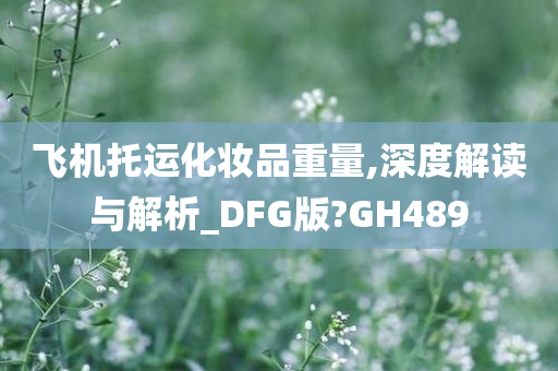 飞机托运化妆品重量,深度解读与解析_DFG版?GH489