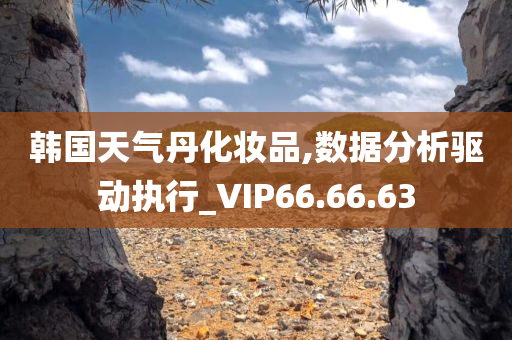 韩国天气丹化妆品,数据分析驱动执行_VIP66.66.63