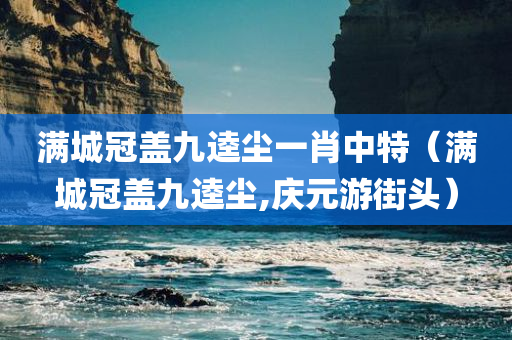 满城冠盖九逵尘一肖中特（满城冠盖九逵尘,庆元游街头）