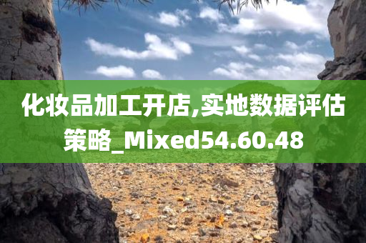 化妆品加工开店,实地数据评估策略_Mixed54.60.48