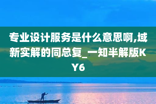 专业设计服务是什么意思啊,域新实解的同总复_一知半解版KY6