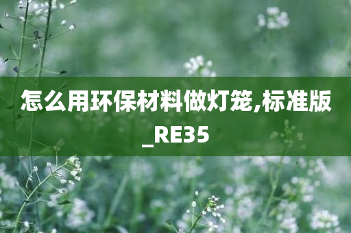 怎么用环保材料做灯笼,标准版_RE35