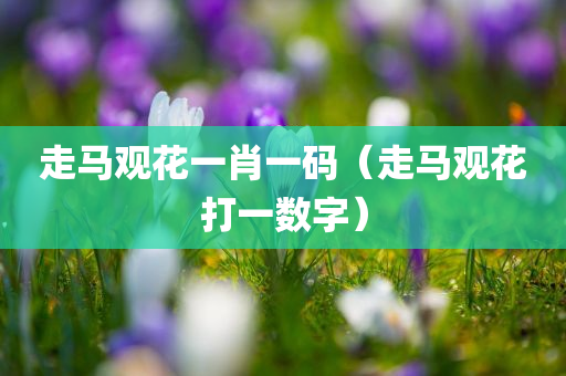 走马观花一肖一码（走马观花打一数字）