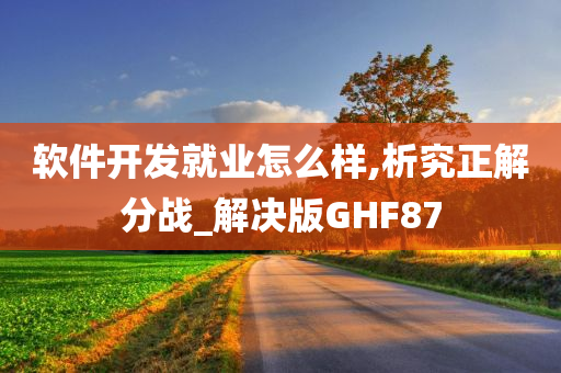 软件开发就业怎么样,析究正解分战_解决版GHF87