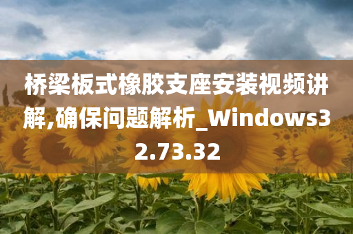 桥梁板式橡胶支座安装视频讲解,确保问题解析_Windows32.73.32