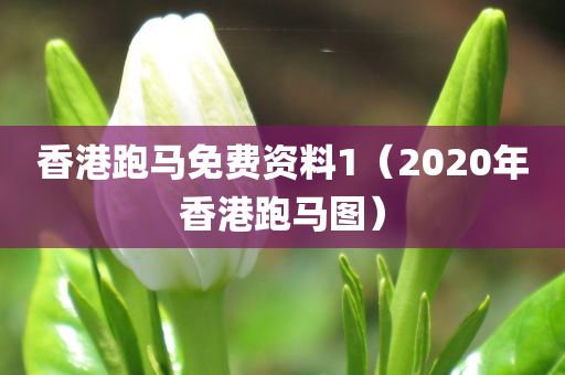 香港跑马免费资料1（2020年香港跑马图）