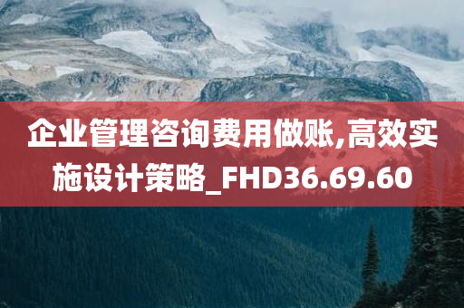 企业管理咨询费用做账,高效实施设计策略_FHD36.69.60