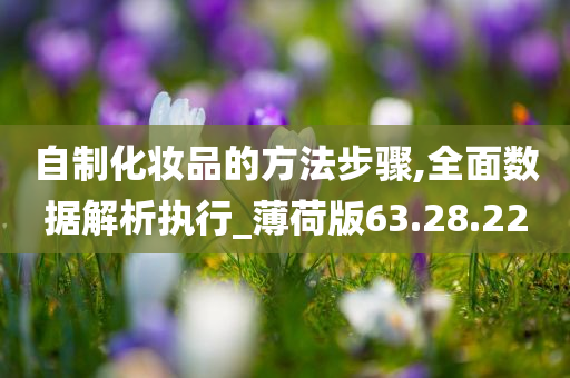 自制化妆品的方法步骤,全面数据解析执行_薄荷版63.28.22