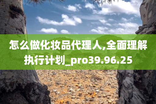 怎么做化妆品代理人,全面理解执行计划_pro39.96.25