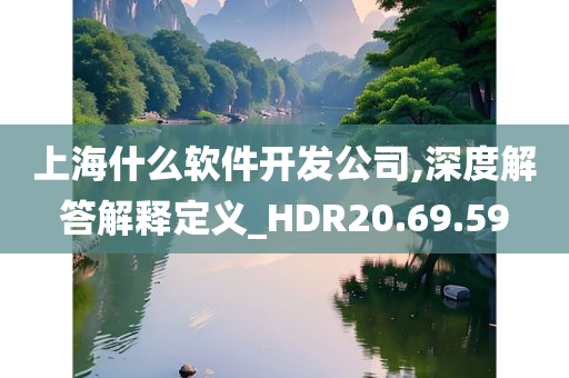 上海什么软件开发公司,深度解答解释定义_HDR20.69.59