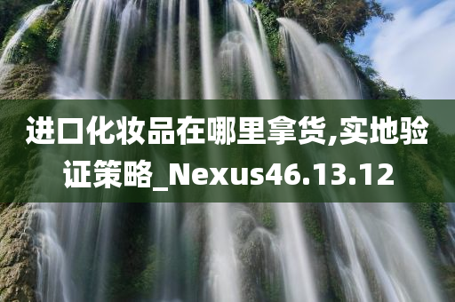 进口化妆品在哪里拿货,实地验证策略_Nexus46.13.12