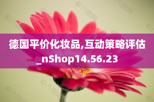 德国平价化妆品,互动策略评估_nShop14.56.23