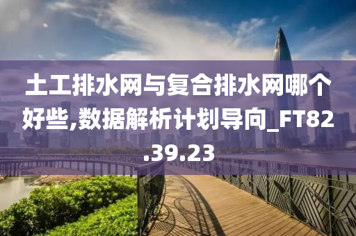 土工排水网与复合排水网哪个好些,数据解析计划导向_FT82.39.23