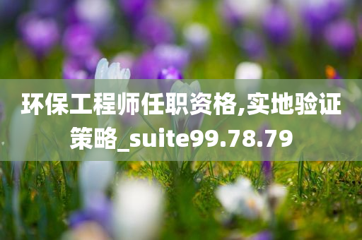 环保工程师任职资格,实地验证策略_suite99.78.79