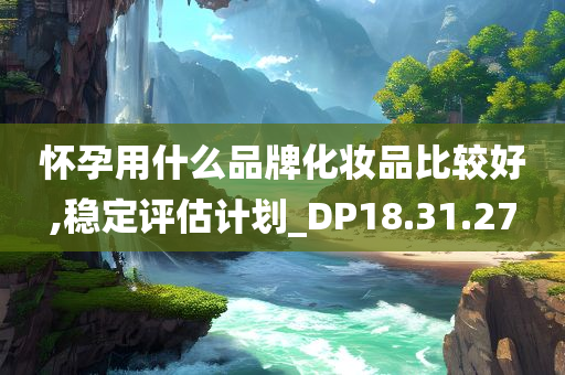 怀孕用什么品牌化妆品比较好,稳定评估计划_DP18.31.27