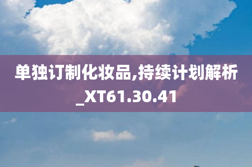 单独订制化妆品,持续计划解析_XT61.30.41