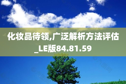 化妆品待领,广泛解析方法评估_LE版84.81.59