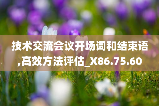 技术交流会议开场词和结束语,高效方法评估_X86.75.60