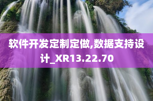 软件开发定制定做,数据支持设计_XR13.22.70