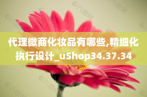 代理微商化妆品有哪些,精细化执行设计_uShop34.37.34