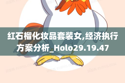 红石榴化妆品套装女,经济执行方案分析_Holo29.19.47