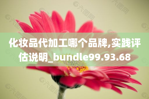 化妆品代加工哪个品牌,实践评估说明_bundle99.93.68