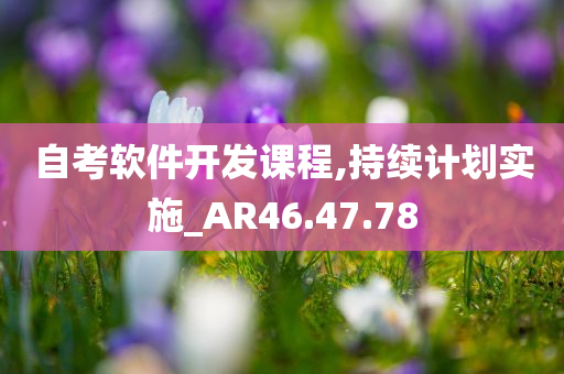 自考软件开发课程,持续计划实施_AR46.47.78