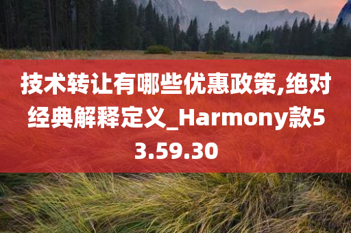 技术转让有哪些优惠政策,绝对经典解释定义_Harmony款53.59.30