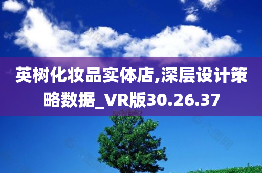 英树化妆品实体店,深层设计策略数据_VR版30.26.37